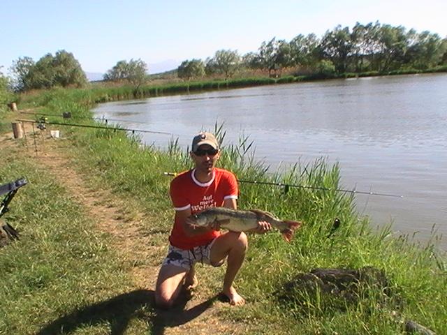 la rapitor - pic0756.JPG